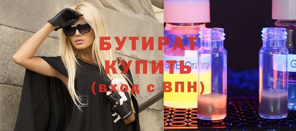 гашик Ельня