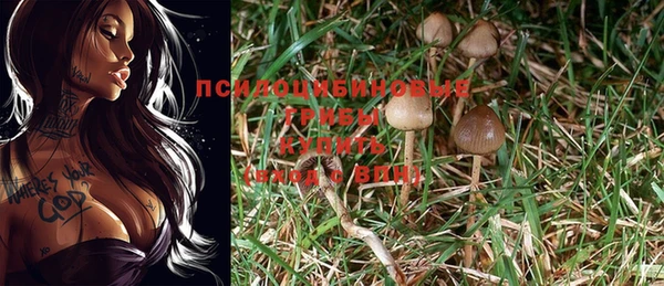 мет Бородино
