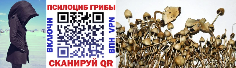 Галлюциногенные грибы прущие грибы  Моздок 